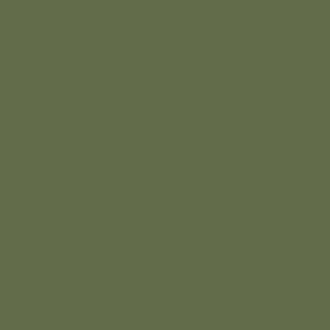 AGT Caretta Green 3051 — decorative furniture panel for custom cabinetry