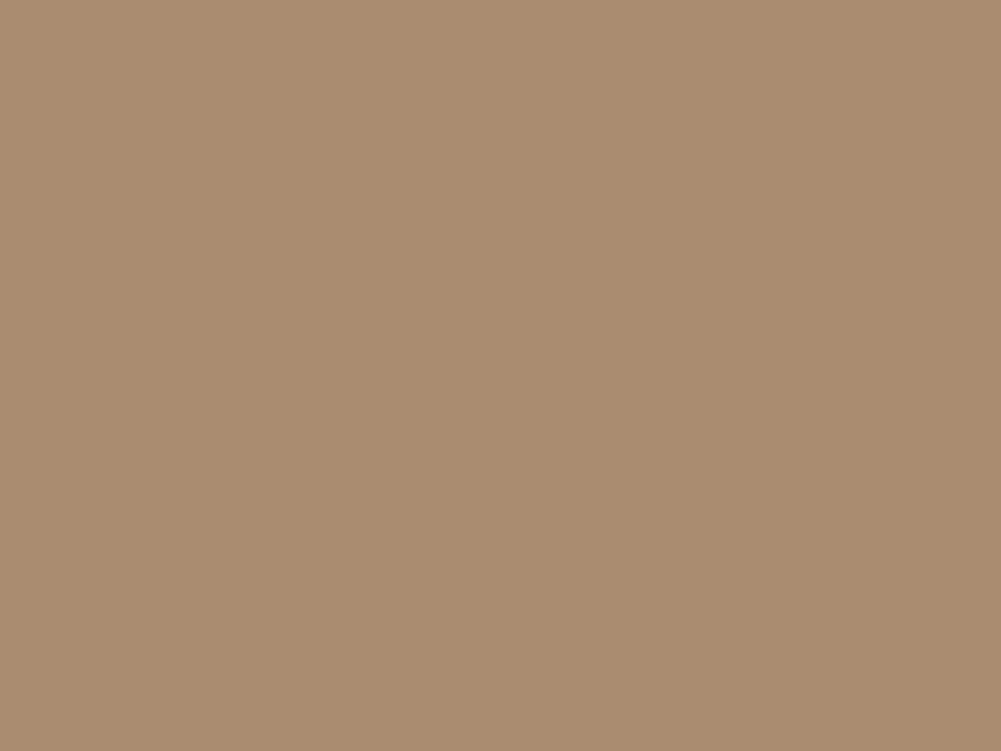 EGGER U250 ST9 Caramel Beige — uni colour panel decor for custom cabinetry (board scan)