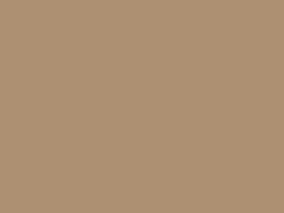 EGGER U250 TM Caramel Beige — uni colour panel decor for custom cabinetry (board scan)