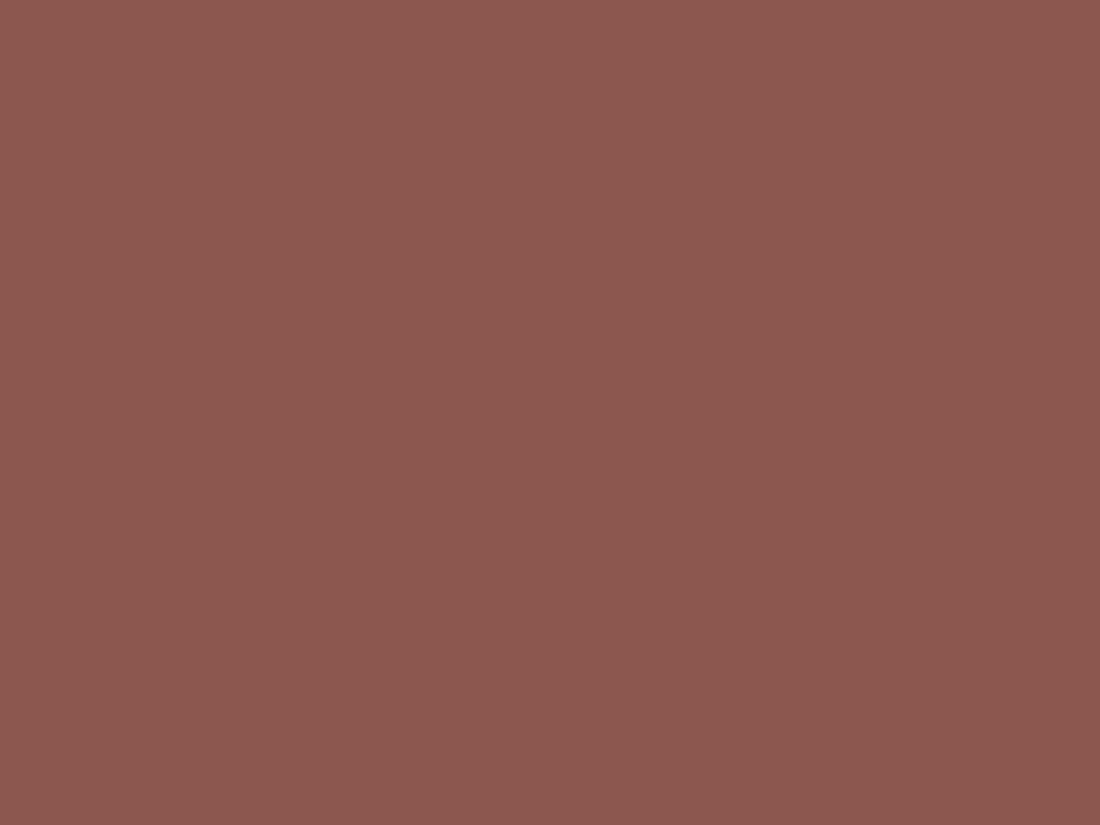 EGGER U335 ST9 Rusty Red — uni colour panel decor for custom cabinetry (board scan)