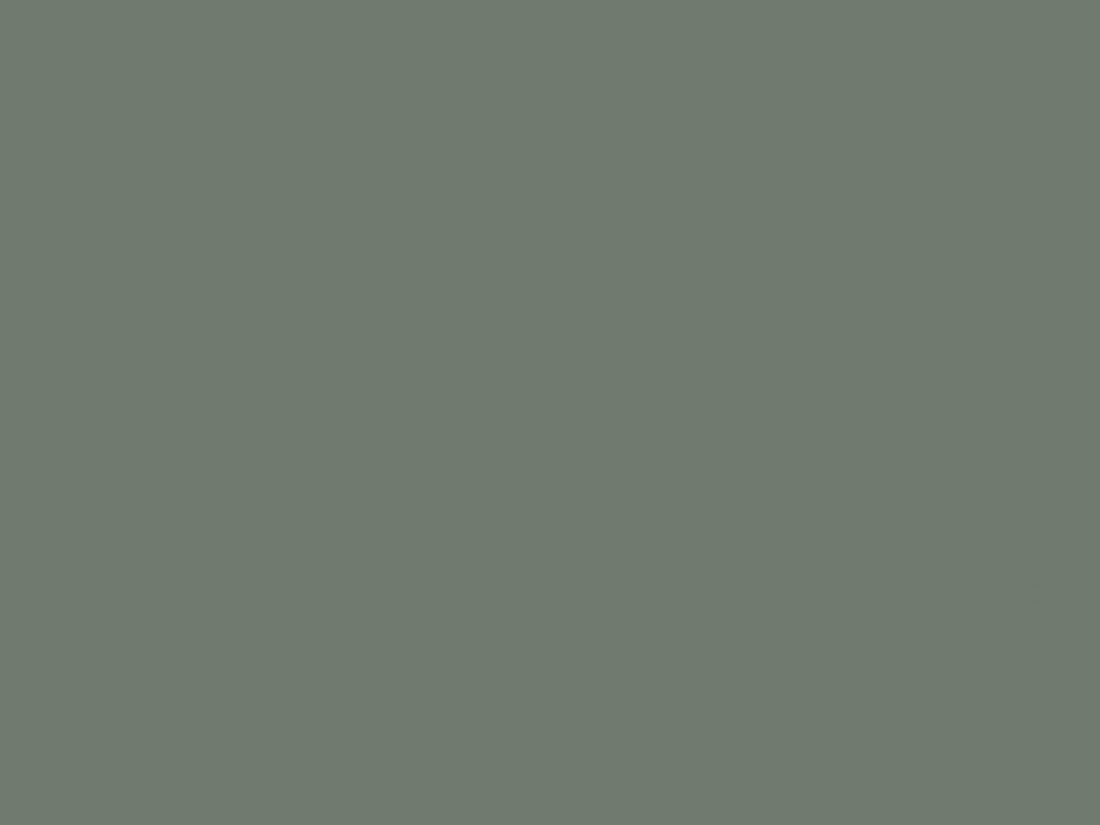 EGGER U604 PM Reed Green — uni colour panel decor for custom cabinetry (close-up)