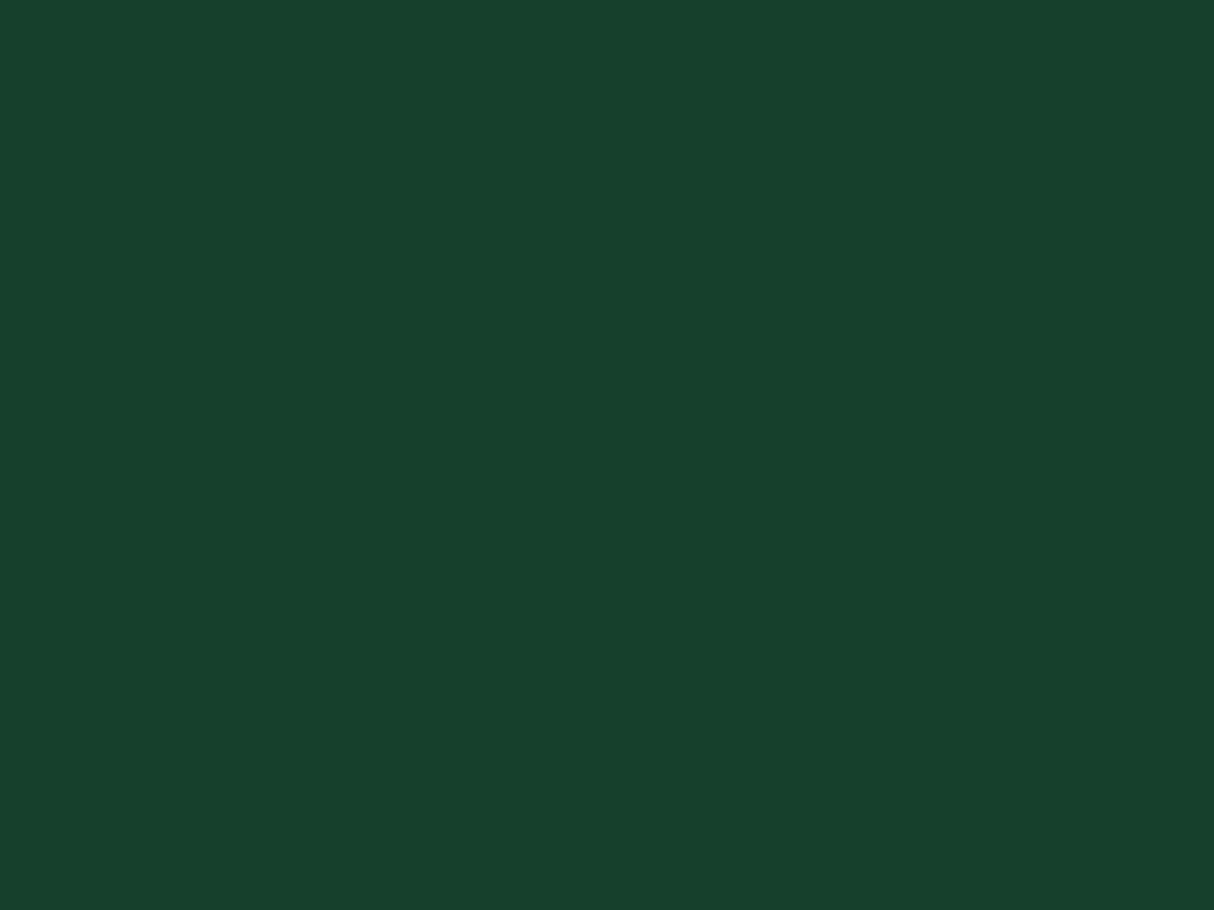 EGGER U606 ST9 Forest Green — uni colour panel decor for custom cabinetry (board scan)