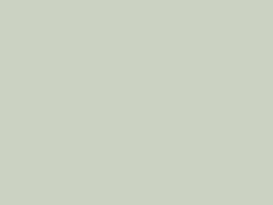 EGGER U608 ST9 Pistachio Green — uni colour panel decor for custom cabinetry (close-up)