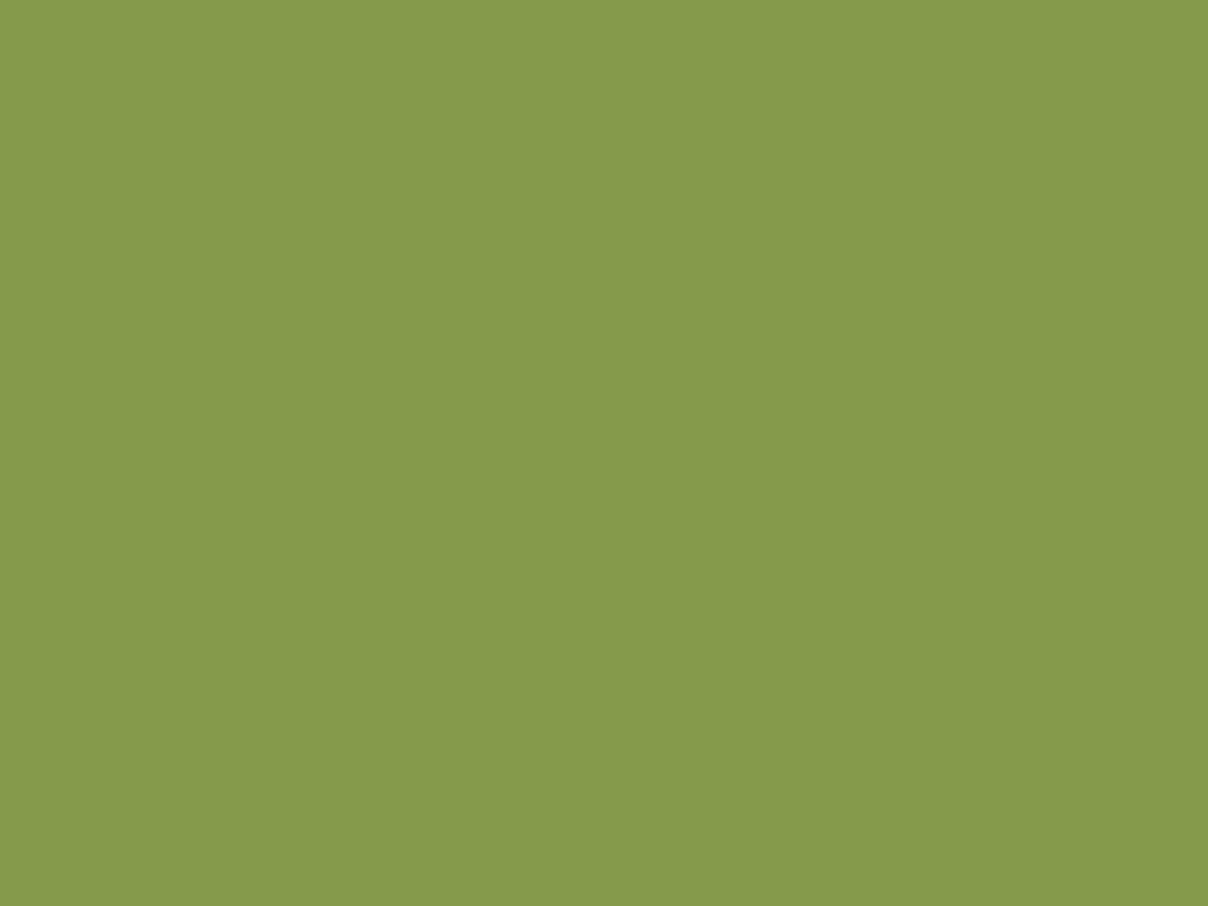 EGGER U626 ST9 Kiwi Green — uni colour panel decor for custom cabinetry (board scan)
