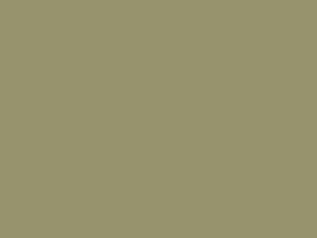 EGGER U640 ST9 Olive Green — uni colour panel decor for custom cabinetry (close-up)