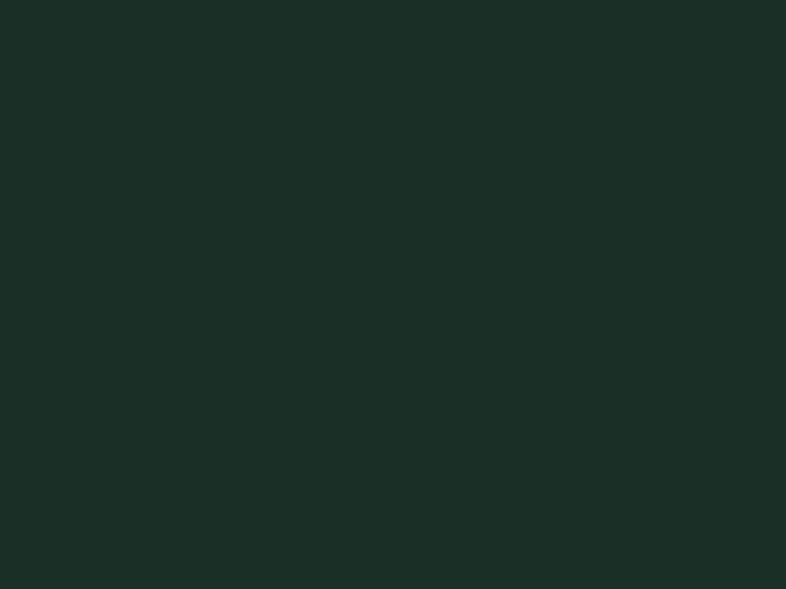 EGGER U699 ST9 Fir Green — uni colour panel decor for custom cabinetry (close-up)